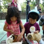 動物と触れ合える碑文谷公園